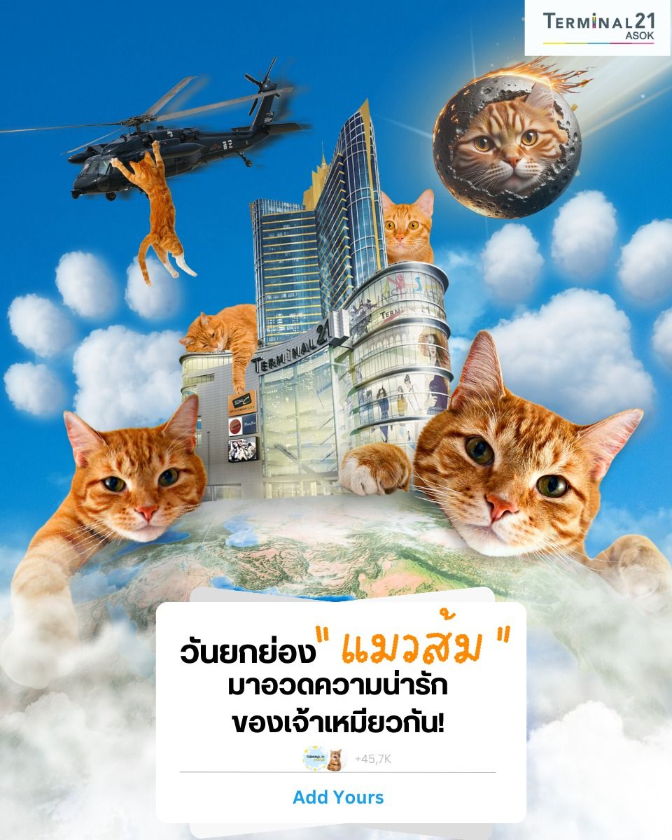 วันยกย่อง “แมวส้ม”
