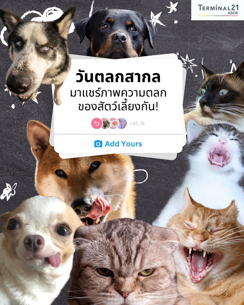 วันตลกสากล