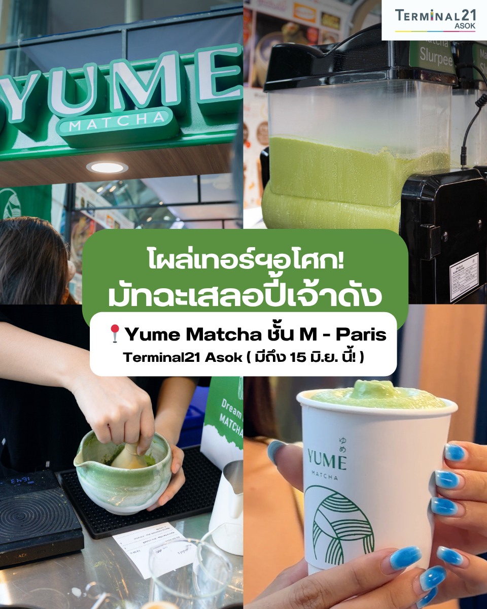 โผล่เทอร์ฯ อโศก! มัทฉะเสลอปี้เจ้าดัง
