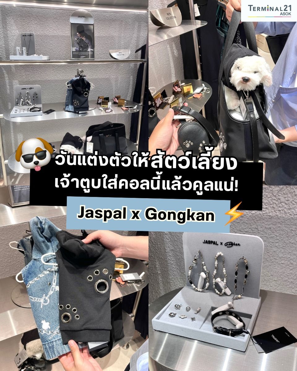 14 มกราคม วันแต่งตัวให้สัตว์เลี้ยง