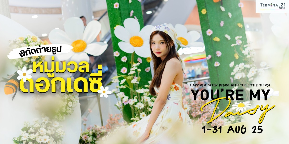 พิกัดถ่ายรูป หมู่มวลดอกเดซี่