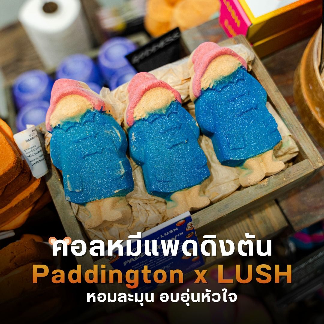 คอลหมีแพดดิงตัน Paddington x LUSH