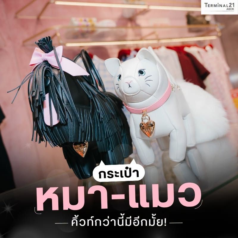 กระเป๋า หมา-แมว คิ้วท์กว่านี้มีอีกมั้ย!