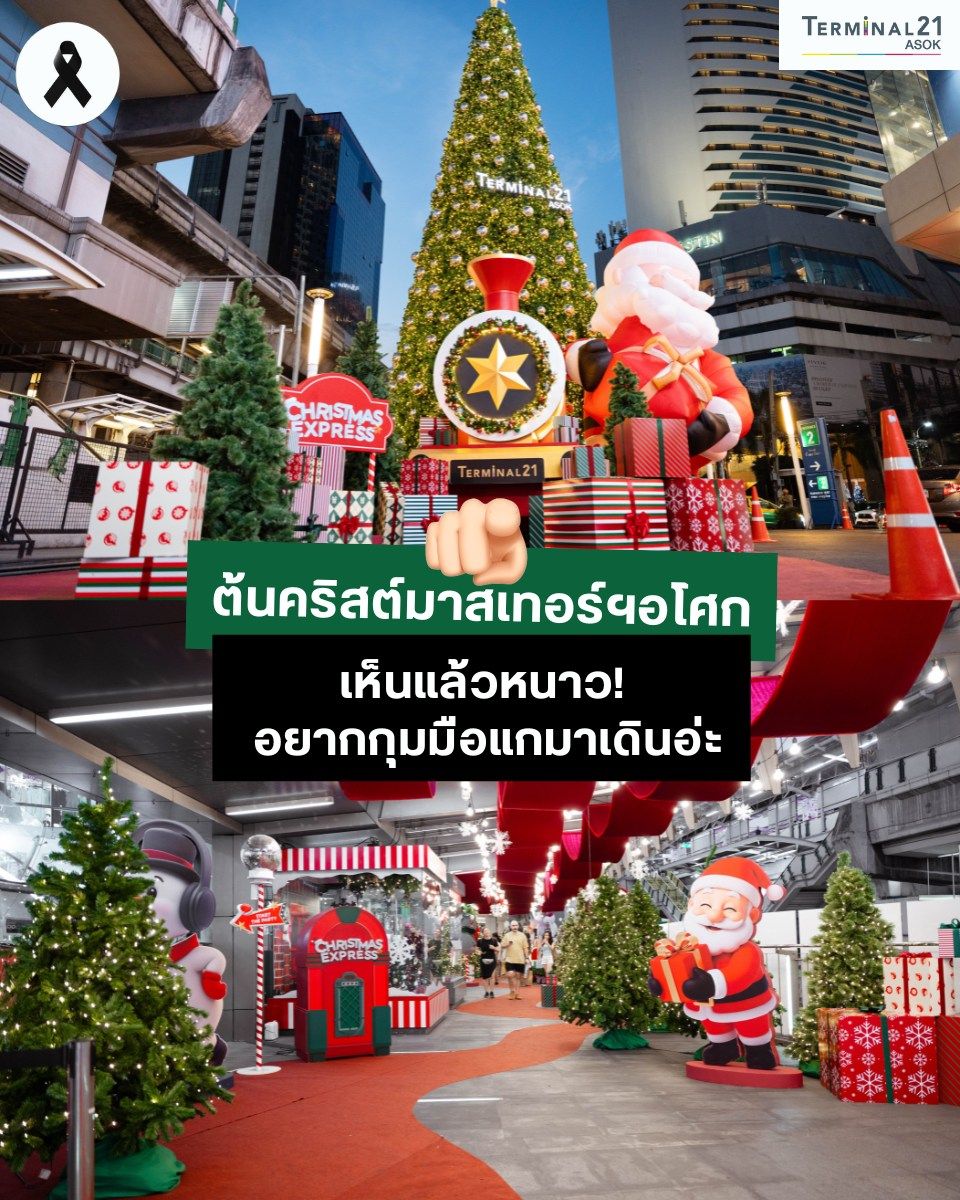 ต้นคริสต์มาสเทอร์ฯอโศก