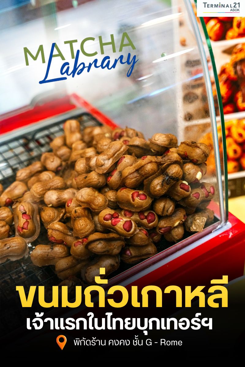 ขนมถั่วเกาหลี เจ้าแรกในไทยบุกเทอร์ฯ