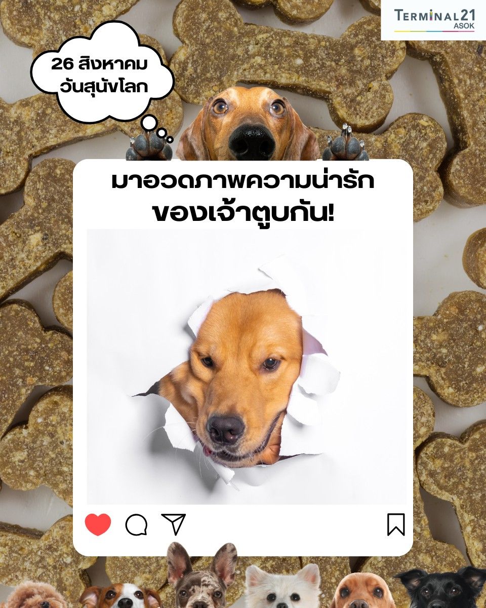 วันสุนัขโลก