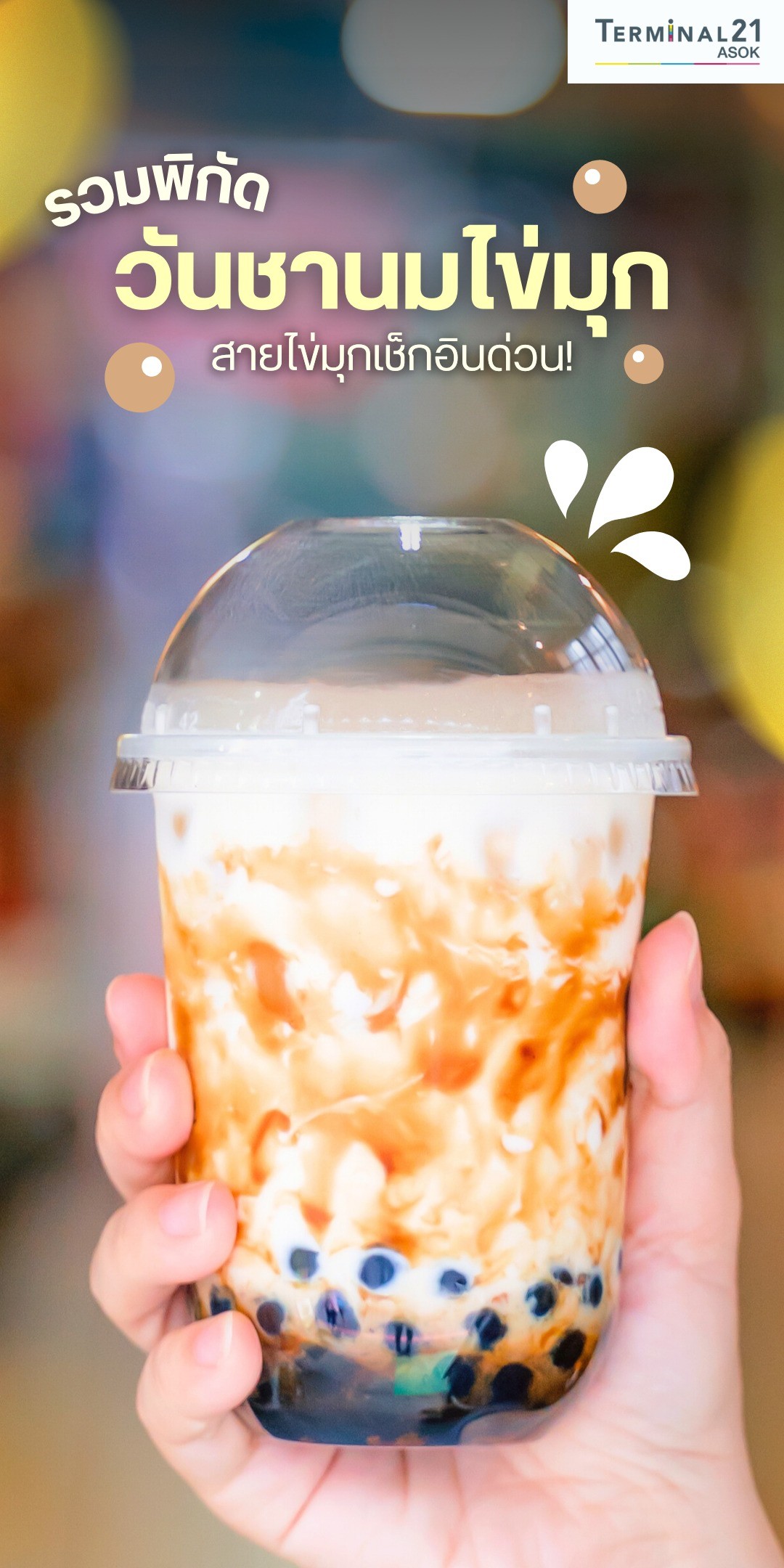 รวมพิกัด วันชานมไข่มุก