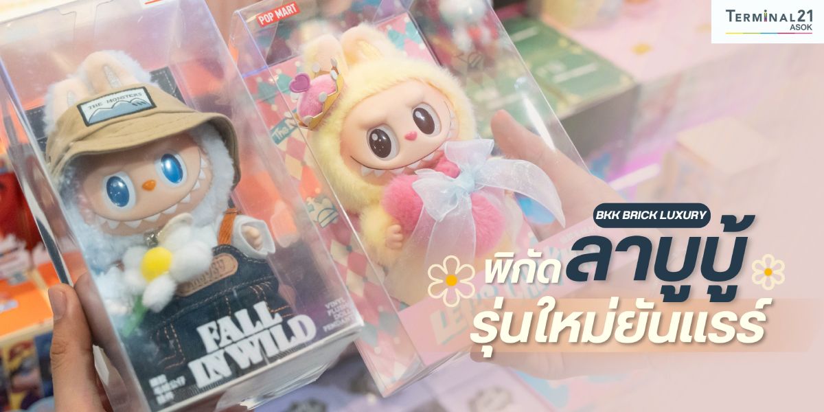 พิกัด ลาบูบู้ รุ่นใหม่ยันแรร์