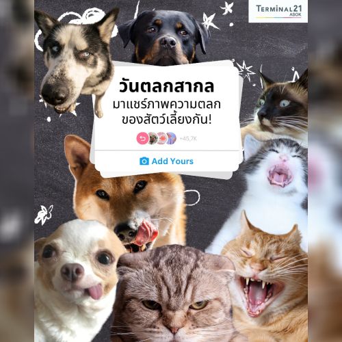 วันตลกสากล