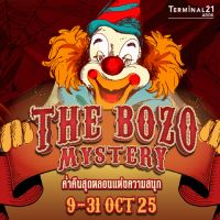 THE BOZO MYSTERY