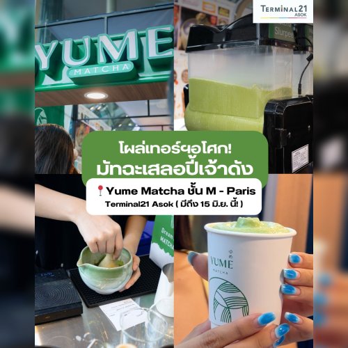 โผล่เทอร์ฯ อโศก! มัทฉะเสลอปี้เจ้าดัง