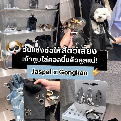 14 มกราคม วันแต่งตัวให้สัตว์เลี้ยง