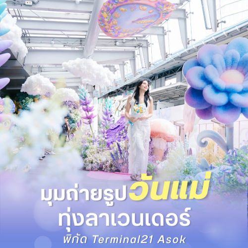 มุมถ่ายรูปวันแม่ ทุ่งลาเวนเดอร์