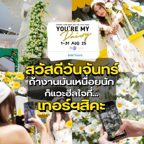 สวัสดีวันจันทร์ ถ้างานมันเหนื่อยนัก ก็แวะฮีลใจที่เทอร์ฯสิคะ