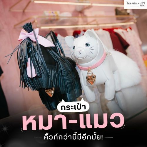 กระเป๋า หมา-แมว คิ้วท์กว่านี้มีอีกมั้ย!