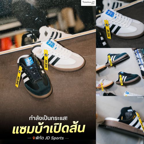 กำลังเป็นกระแส! แซมบ้าเปิดส้น