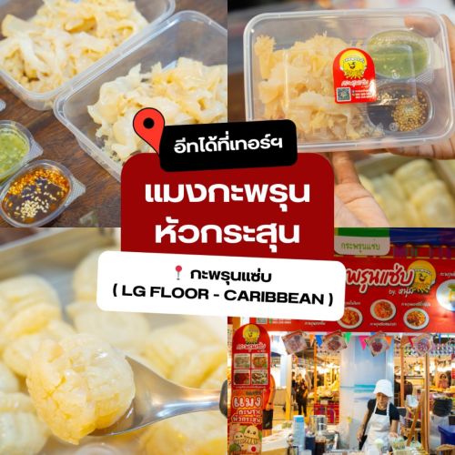 แมงกะพรุนหัวกระสุน