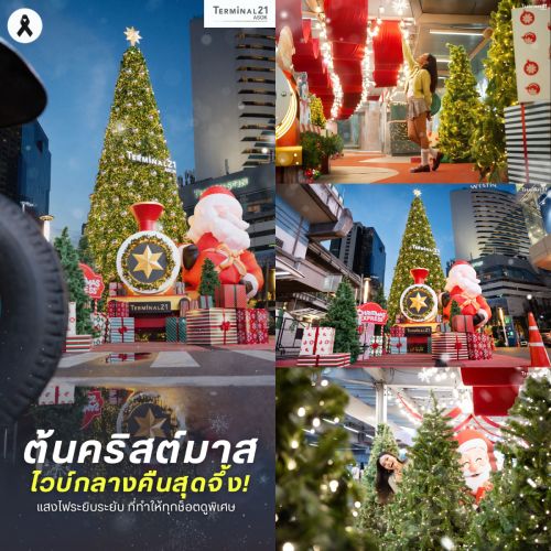 ต้นคริสต์มาส ไวบ์กลางคืนสุดจึ้ง!