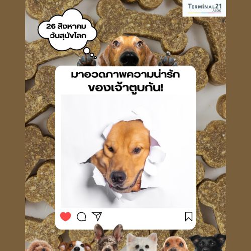 วันสุนัขโลก