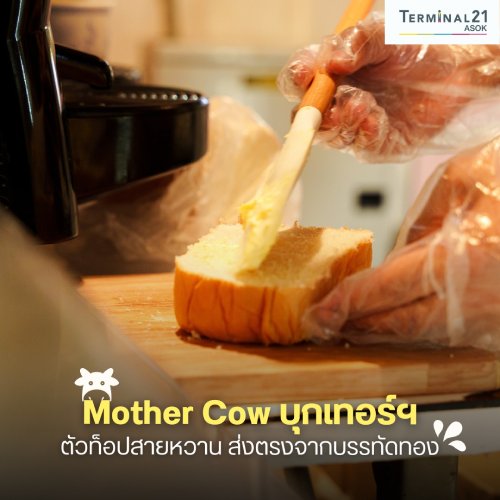 Mother Cow บุกเทอร์