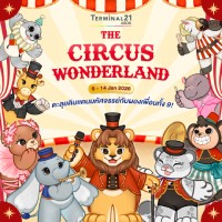 THE CIRCUS WONDERLAND